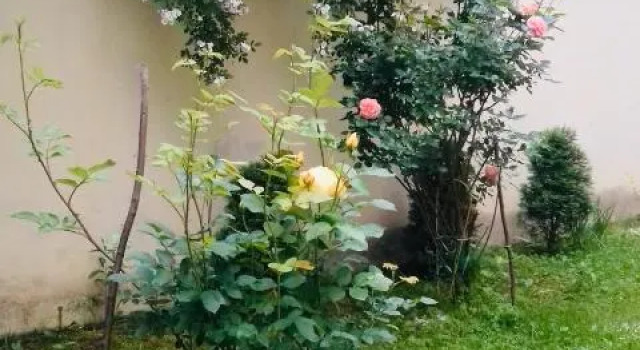 Joanna, Réserver Appartement Cracovie Petite-Pologne