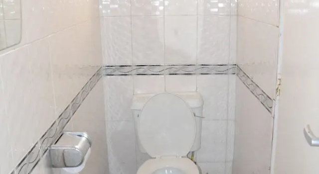 Одноместный номер Standard Golden Goose Hotel