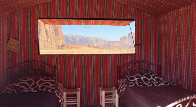 Momoo's Camp