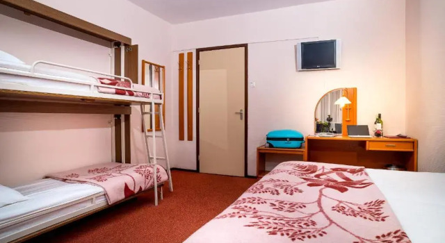Четырёхместный номер Standard Owl Hotel
