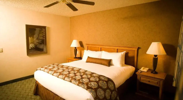 Номер Standard Borrego Springs Resort