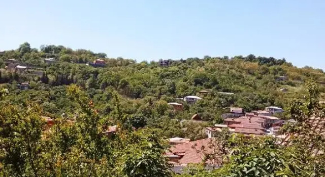 Kizikis Kari, Prenota Hotel Sighnaghi 