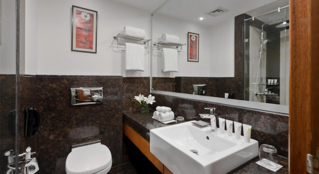 Номер Standard Country Inn & Suites by Radisson, Gurugram Sector 12