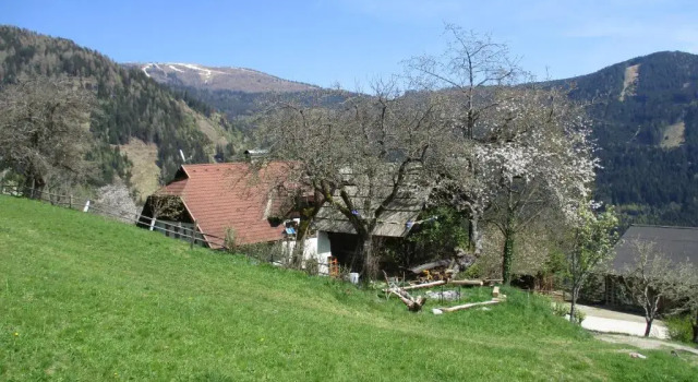 Ferienwohnungen am Berghof, Забронировать Апартаменты/квартира Апартаменты Филлах, Апартаменты/квартира