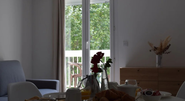 Апартаменты Superior Hôtel et appartements les platanes