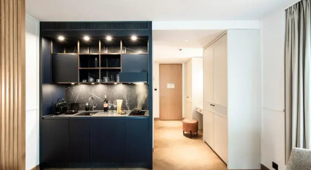 Номер Standard с балконом Alex Lake Zürich