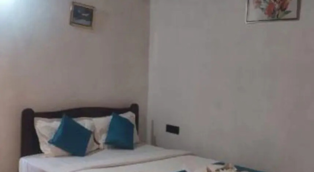 Номер Deluxe Fabexpress Peacock Suites