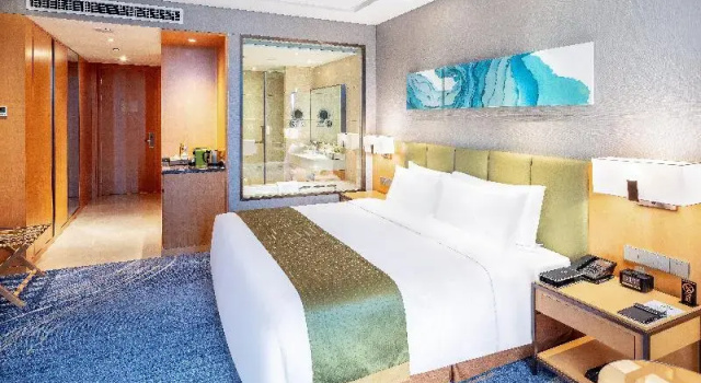 Двухместный номер Standard Holiday Inn Neijiang Riverside by IHG