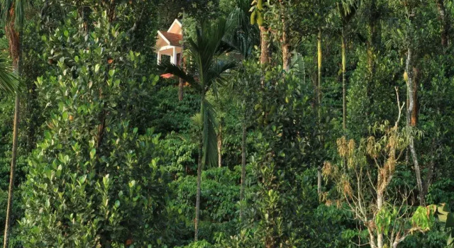 Вилла Superior с балконом и с красивым видом из окна Dhanagiri Homestay Wayanad