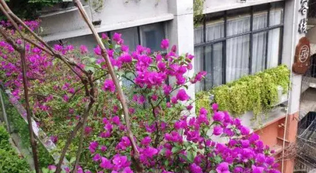 Yihua Yisu Hostel