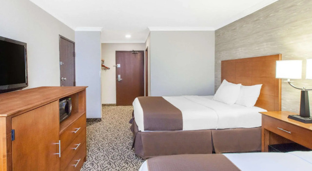 Четырёхместный номер Standard Wingate by Wyndham Detroit Metro Airport