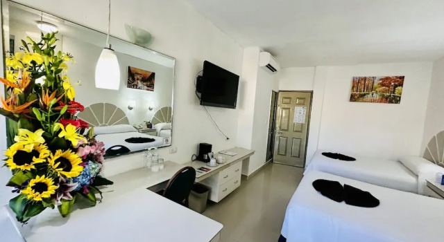 Четырёхместный номер Executive с видом на бассейн Hotel Plaza Caribe