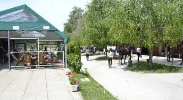 Soskuti Lovas Elmenypark Es Panzio, Réserver Hôtel Soskut Hongrie