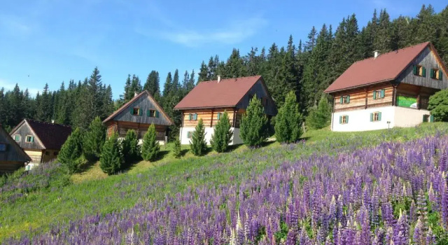 Шале MoselebauerAlm