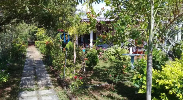 Номер Standard с балконом Village Garden Inn