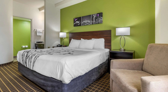 Двухместный номер Standard Sleep Inn Orangeburg
