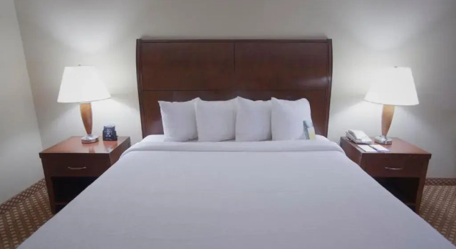 Номер Standard Hilton Garden Inn Albuquerque Uptown