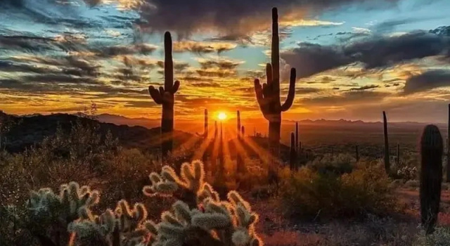 Коттедж Cline Maricopa