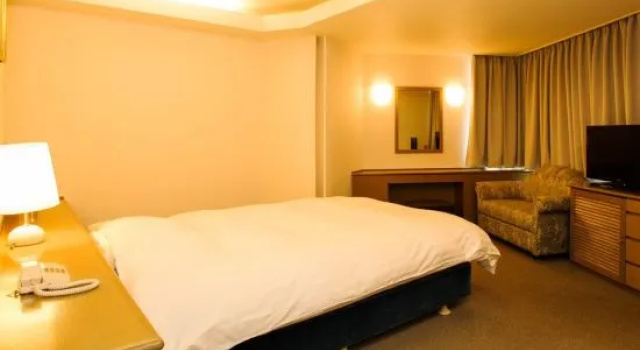 Номер Standard Hotel Zaaz