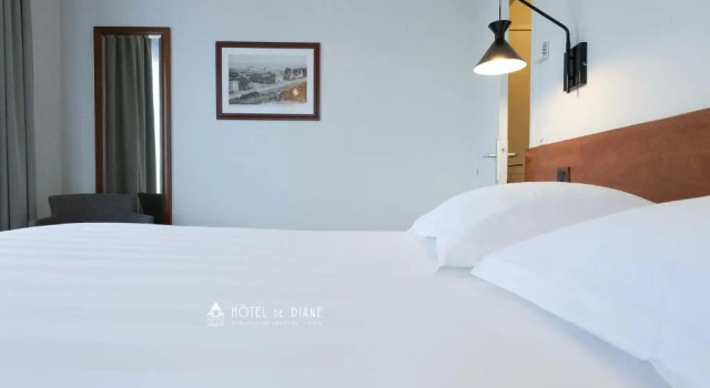 Двухместный номер Comfort Hotel De Diane