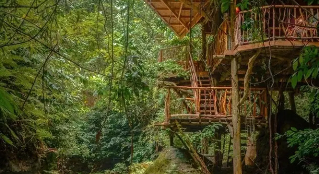 Treehouse de Valentine Mountain Resort, Book Resort Hotels in Asturias with Parking, Parking