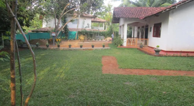 Бунгало Deluxe Green Herbal Ayurvedic Eco-Lodge