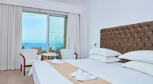 Camera doppia Standard con balcone e con vista mare Grecian Park