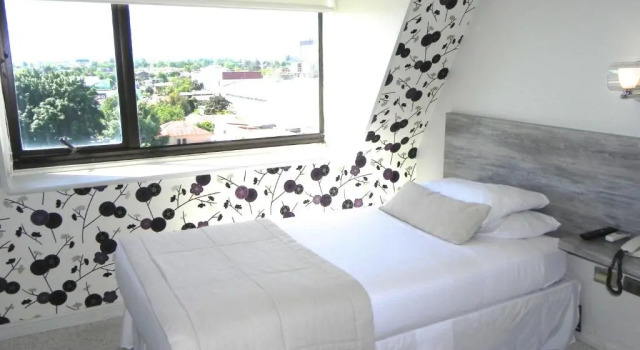 Номер Standard Hotel Las Terrazas Business