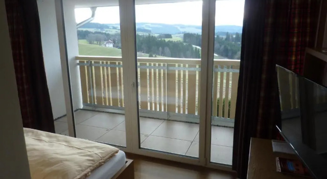 Одноместный номер Standard с балконом Landhotel Sonne Neuhäusle