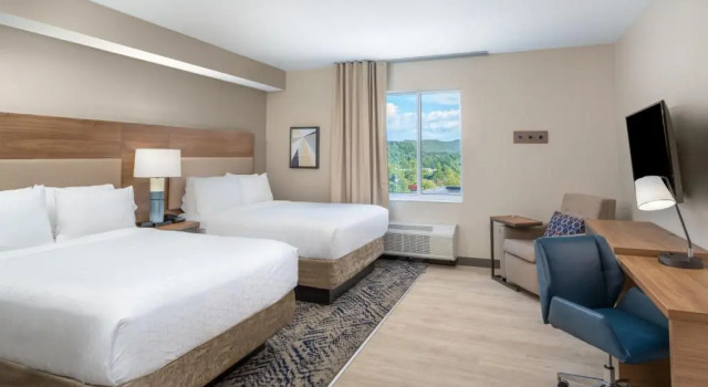 Четырёхместный люкс с видом на горы Candlewood Suites - Asheville Downtown by IHG