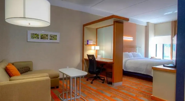 Двухместный люкс SpringHill Suites by Marriott Deadwood