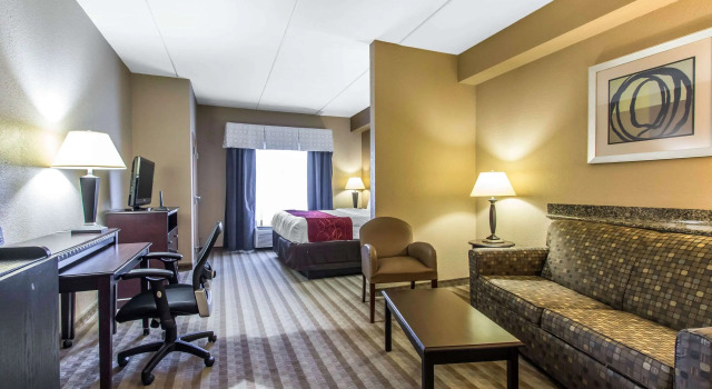 Comfort Suites Smyrna - Nashville Area