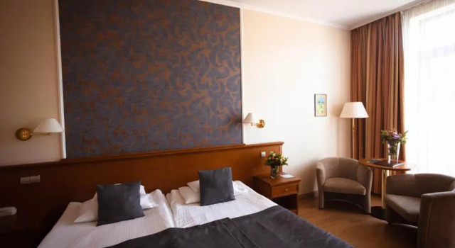 Двухместный номер Standard Thermal Hotel Visegrád
