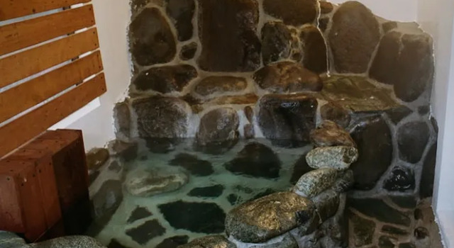Двухместный номер Standard Hakonowa Hot spring inn
