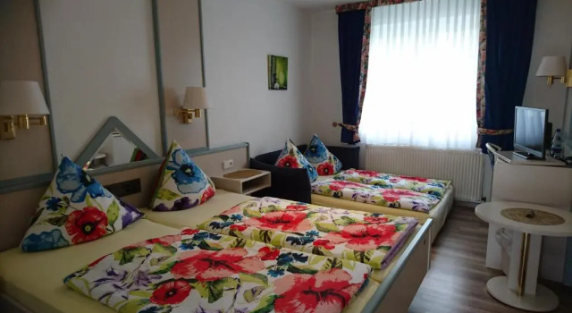 Standard double chambre Hotel Steiner