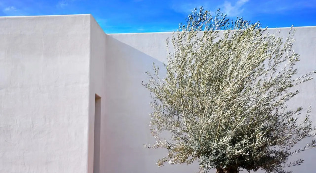 Hotel Boutique Mi Almazara