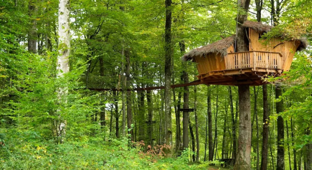 Семейный коттедж LArbre à Cabane