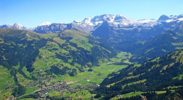 Apartment Wildbach Lenk