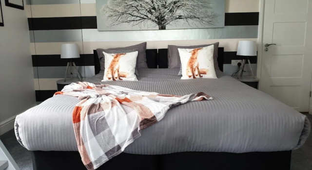 Superior suite CopperBeech Bed and Breakfast