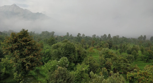 Номер Deluxe с балконом D'Polo Club And Spa Resort, Dharamshala