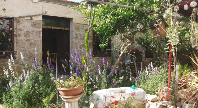 Одноместный номер Economy Mystery Garden Guest House