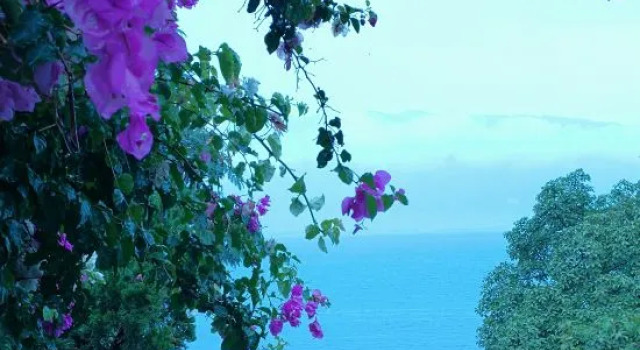 Dali Xiyan Xiaozhu Homestay (Shuanglang Scenic Area Center Branch)