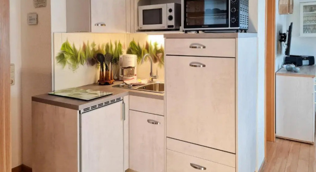 Апартаменты Standard Ferienanlage Zum Wildbach Schierke