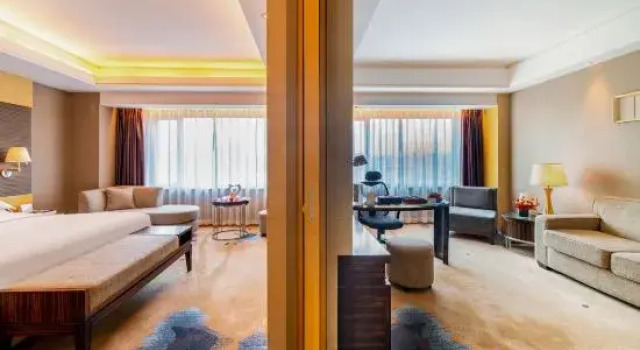 Люкс Business Luxemon Xinjiang Yindu Hotel