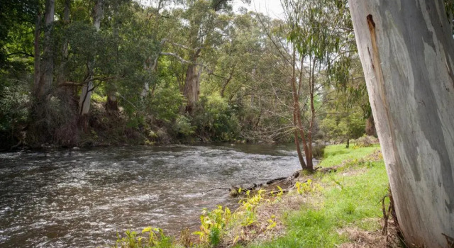Одноместный номер Standard Oscars On The Yarra