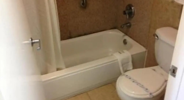 Двухместный люкс Downtowner Inn and Suites - Houston