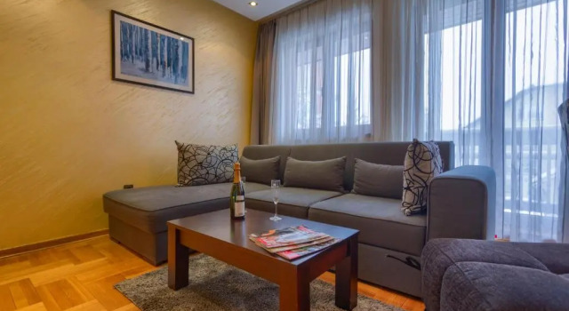 Апартаменты c 1 комнатой Vila Barović and Spa