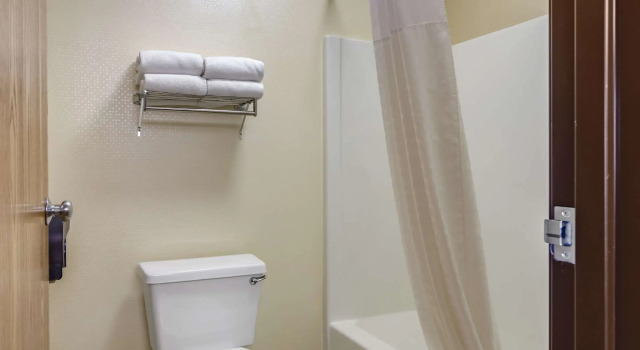 Четырёхместный люкс Comfort Inn Bozeman near University