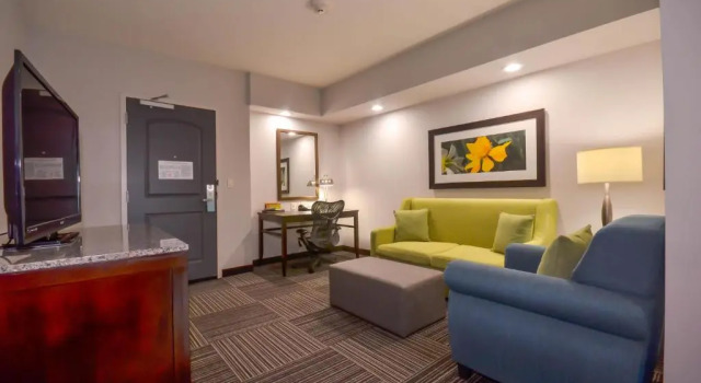 Одноместный люкс Hilton Garden Inn Fayettevile
