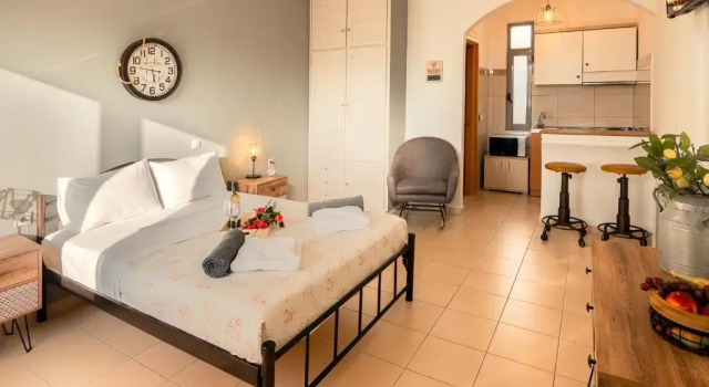 Студия Villa Krini